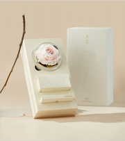 Chengbai Porcelain Blooms